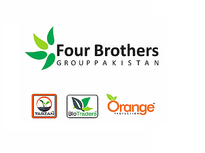 Four Brothers Group